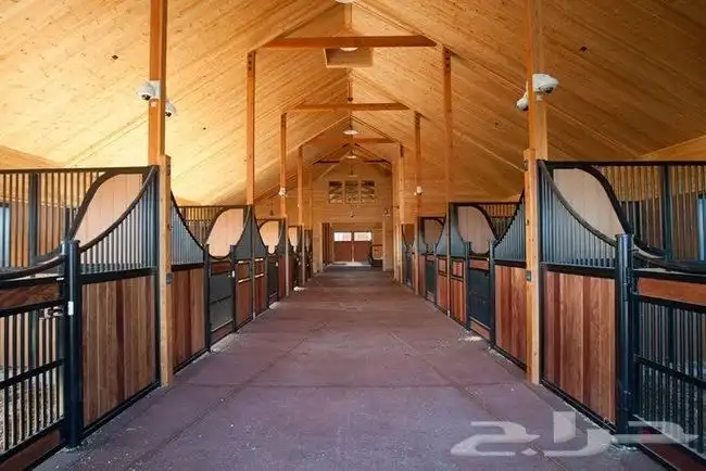 مطلوب اسطبل للايجار 0