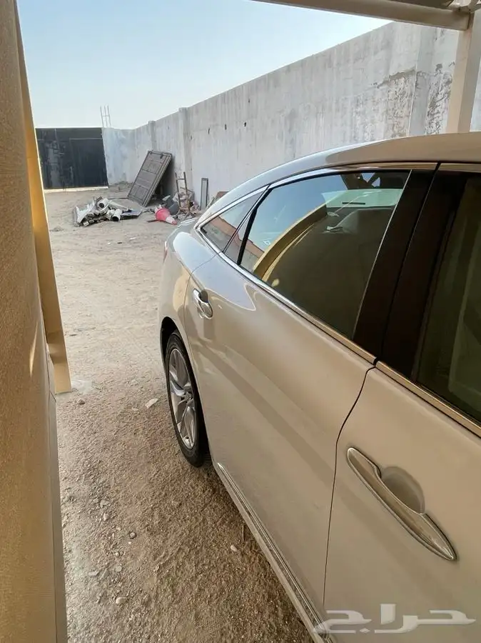 أفالون تورنق 2020 5