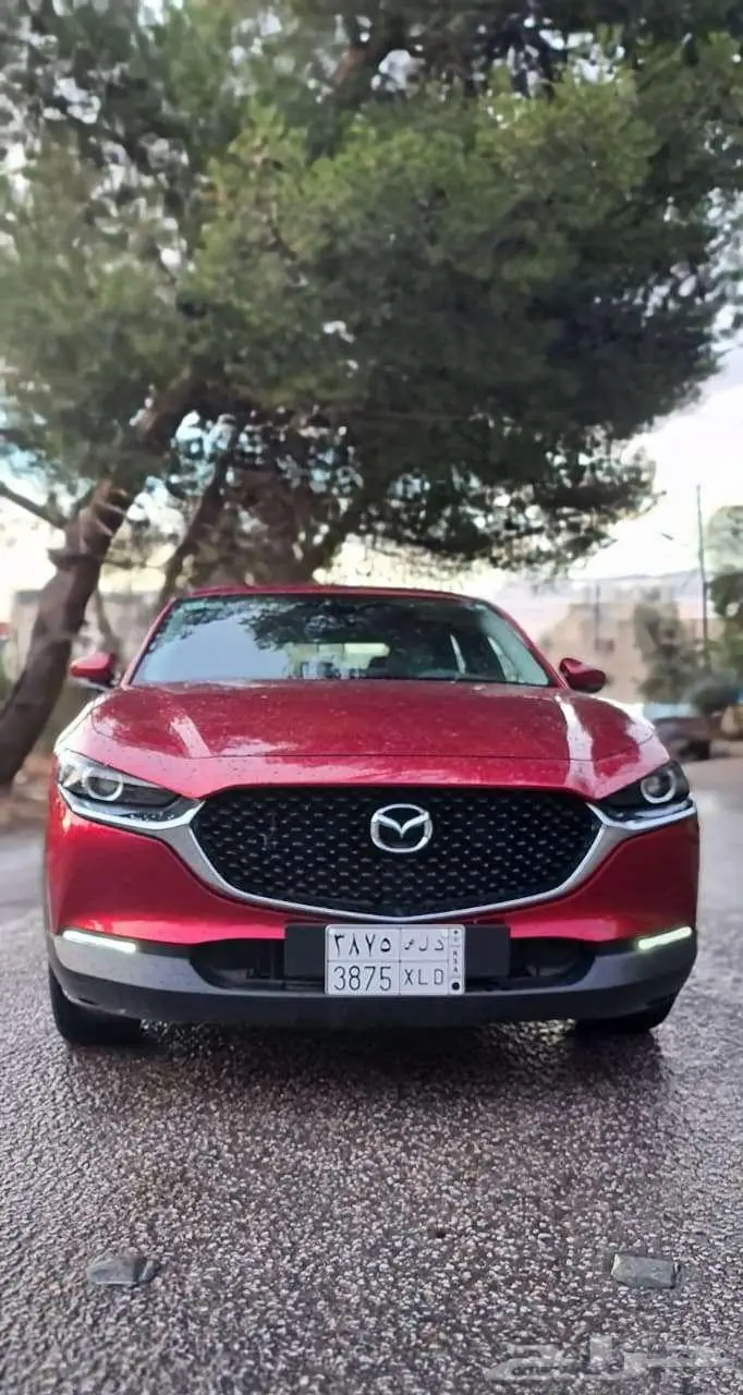مازدا cx30 2020 للبيع 2