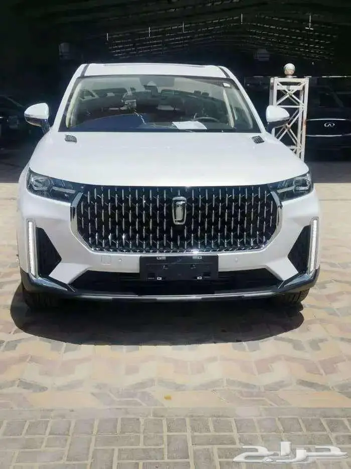 بيستون فاو T99 فل كامل ليمو م2023 تصفية بأفضل الأسعار 1