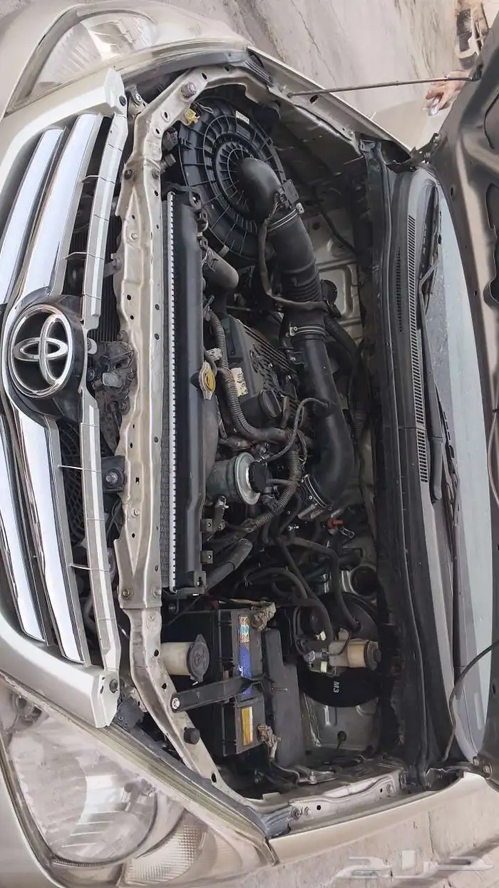 فان نوفا 2010 8