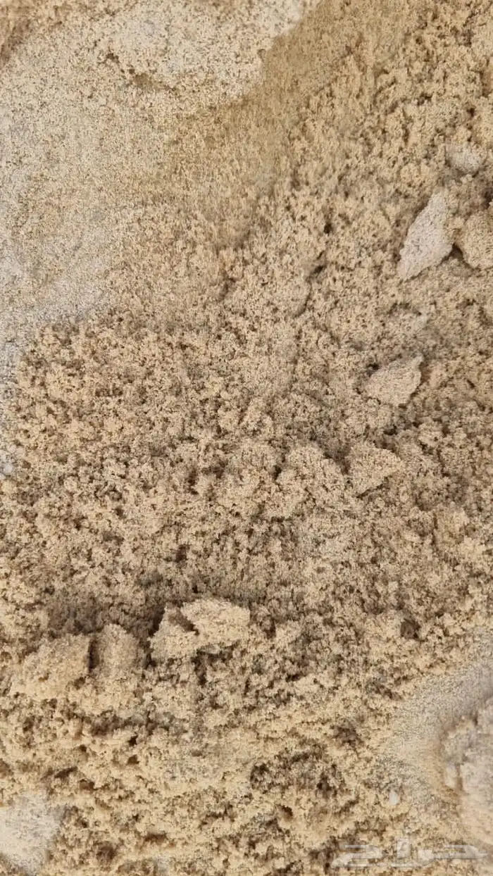 بنا يوجد لدينا اجود أنواع البطحا 12