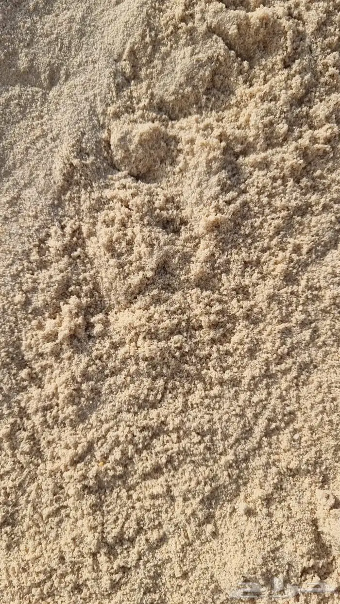 بنا يوجد لدينا اجود أنواع البطحا 8