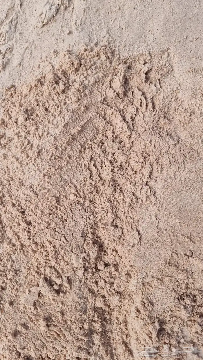 بنا يوجد لدينا اجود أنواع البطحا 13