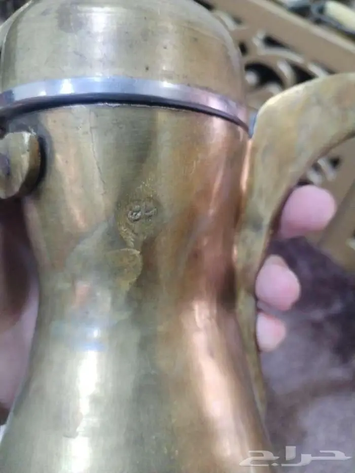 دلال قشريات ودلال الرسلان 4