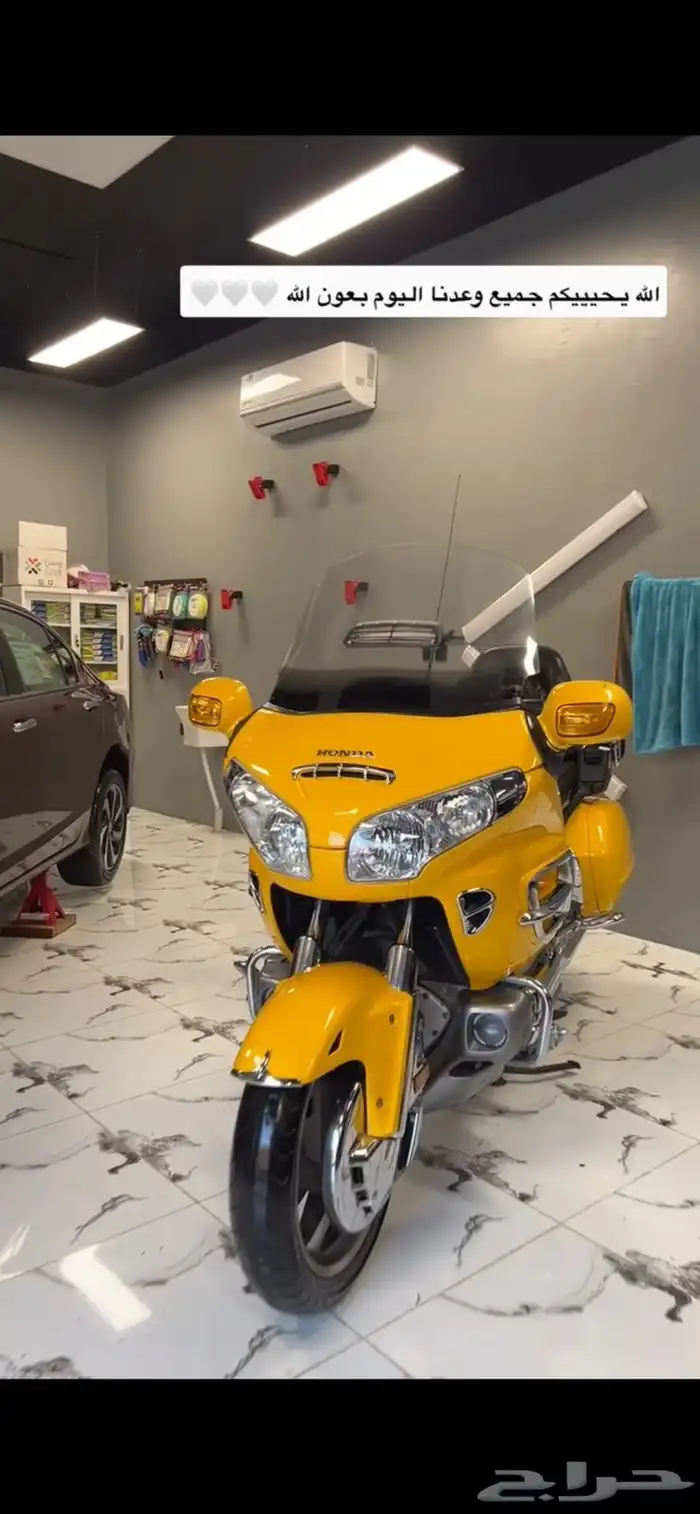 قولد ونق 2010 9