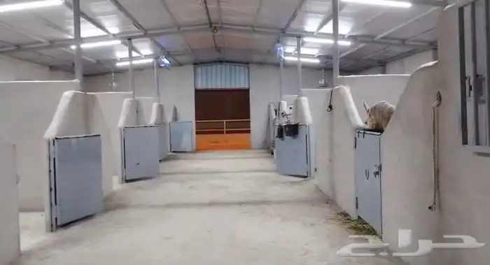 اسطبل الحنيه غرف للايواء فخامه 1