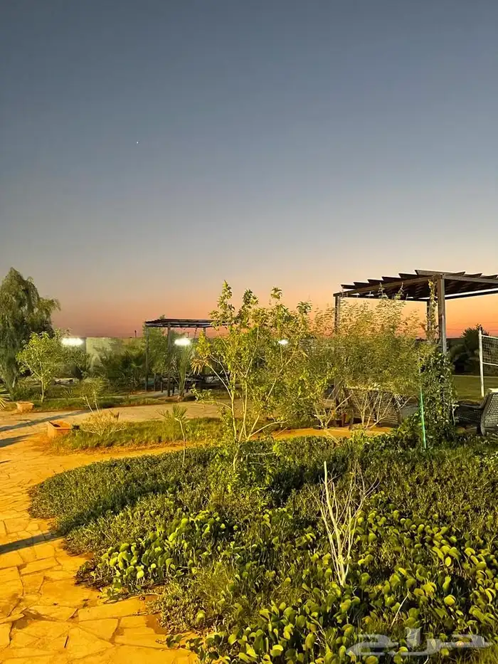 استراحه للايجار اليومي بالقديه ضرما 400 13