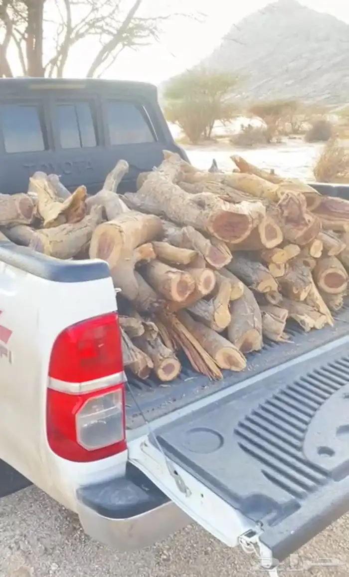 شي كفو يابس كفو مسح هلكس غمارتين شي كفو 0