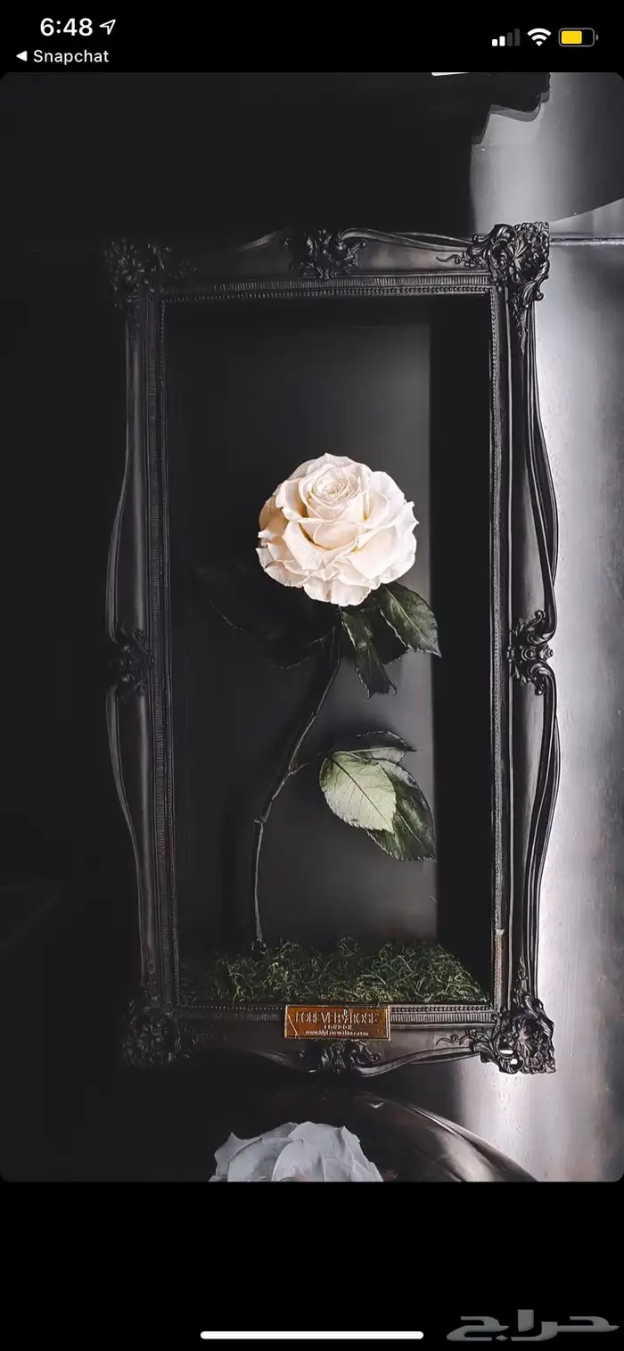 بضاعه ورود واكسسوارات 0