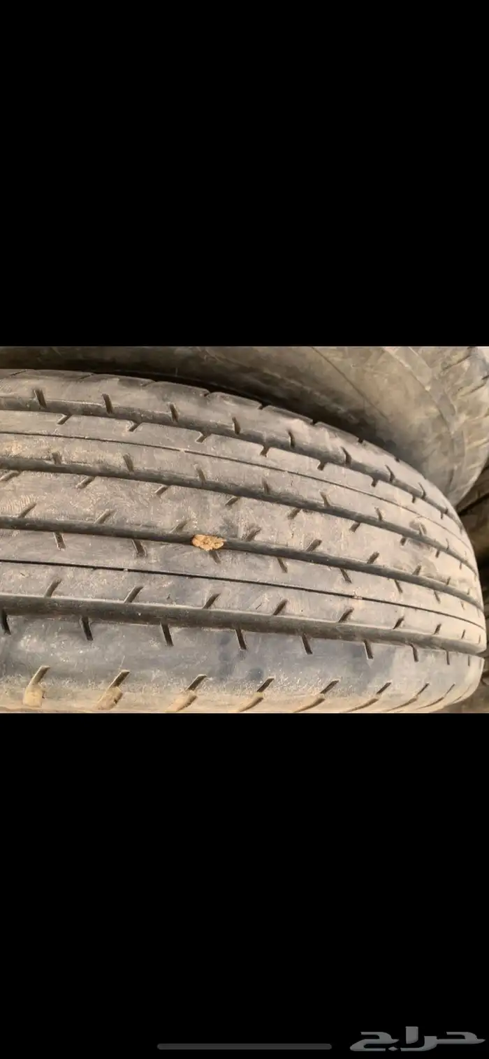 كفرات شواهين الرياض 3