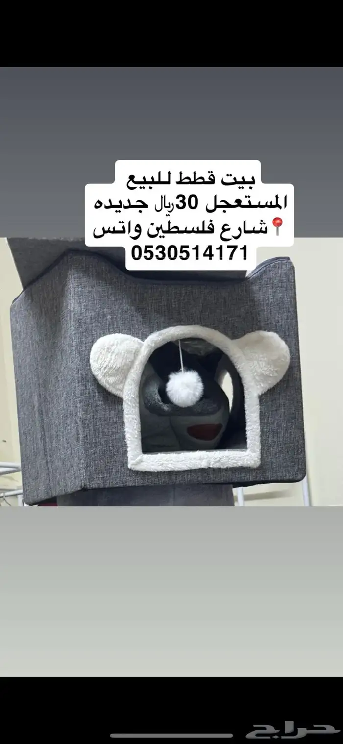 خداشه قطط جديده للبيع المستعجل120 7
