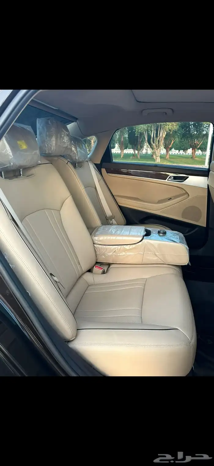 للبيع جينسس G80 م 2019 17