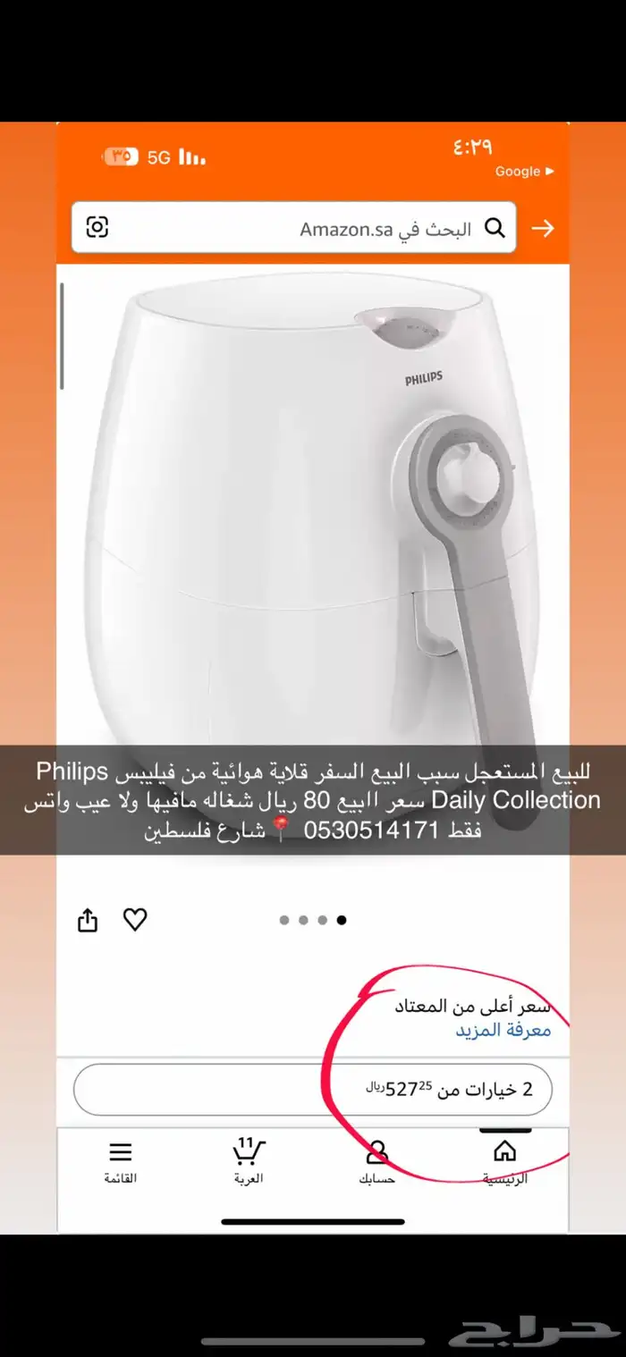 خداشه قطط جديده للبيع المستعجل120 10