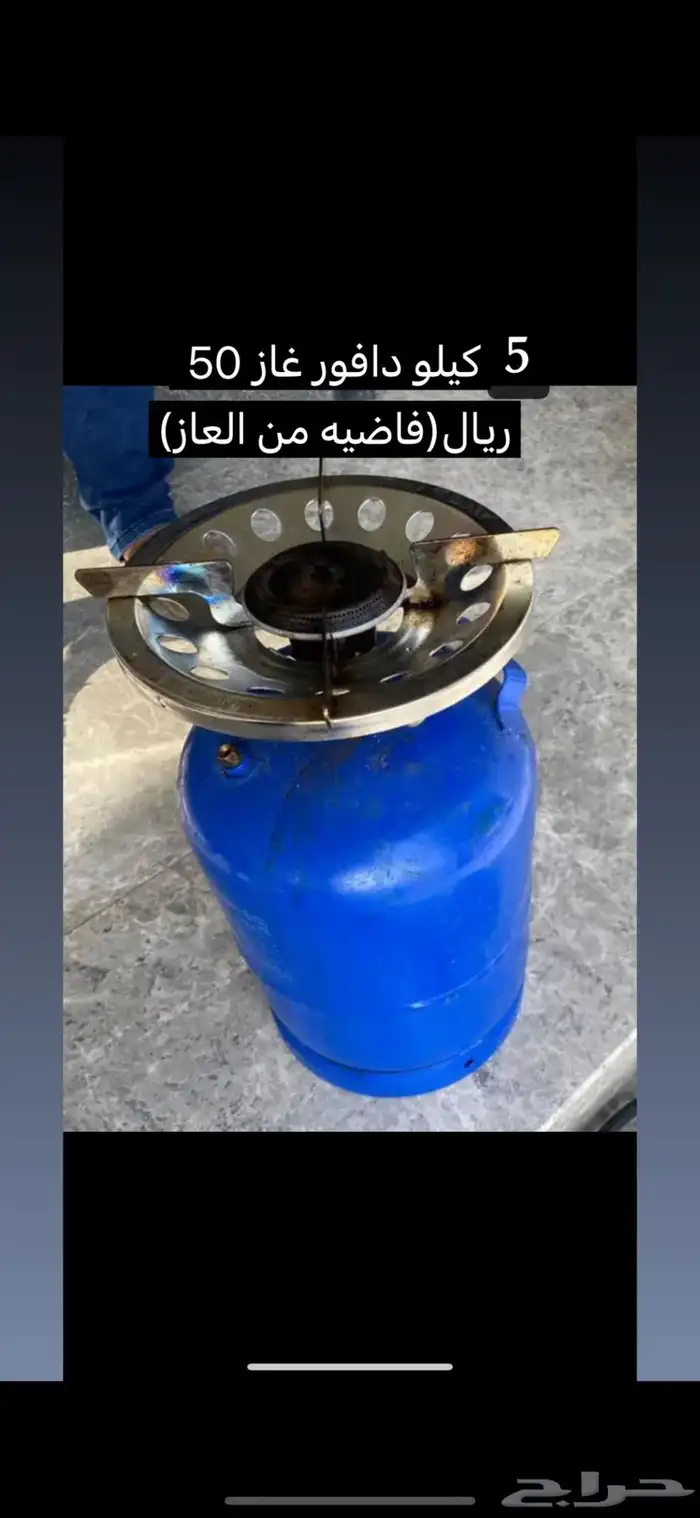 خداشه قطط جديده للبيع المستعجل120 8