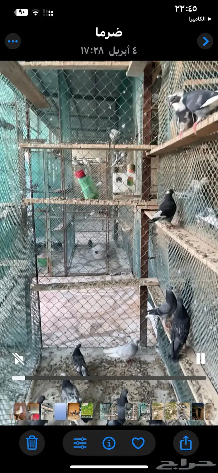 طبات مميزه معاريف 11