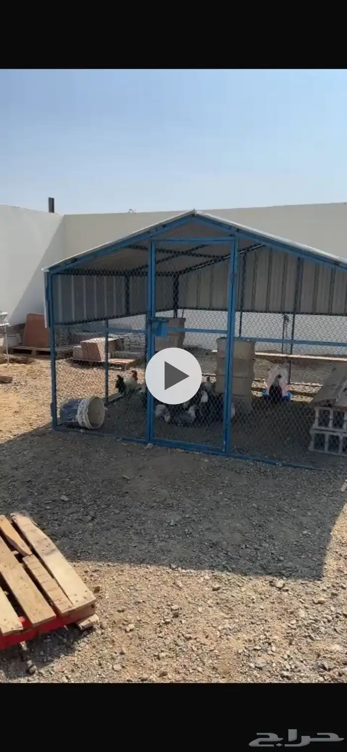 صندقة دجاج للبيع. 3في 3. استخدام بسييط 0