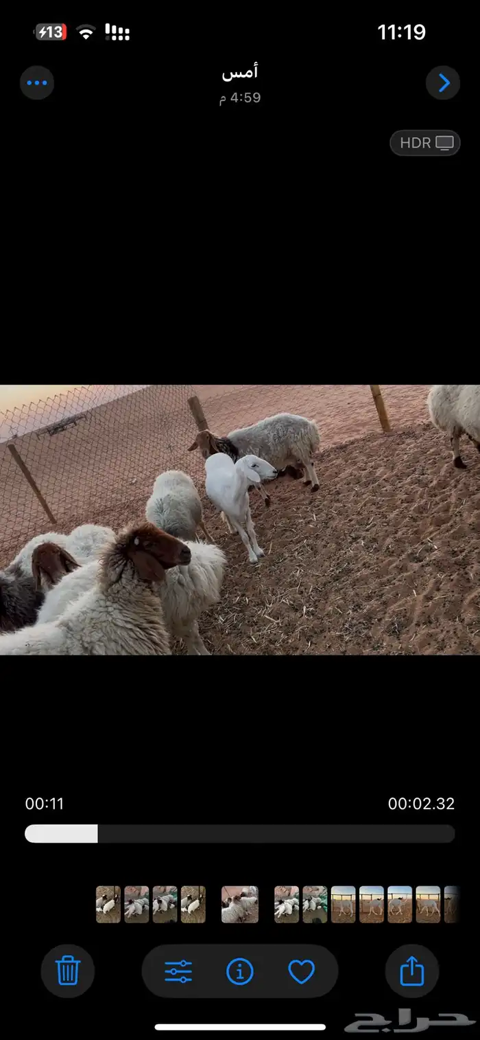 رغايث نعيم العدد 7 2