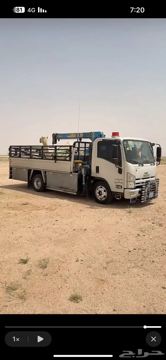 دنه ونش الصياهد 0