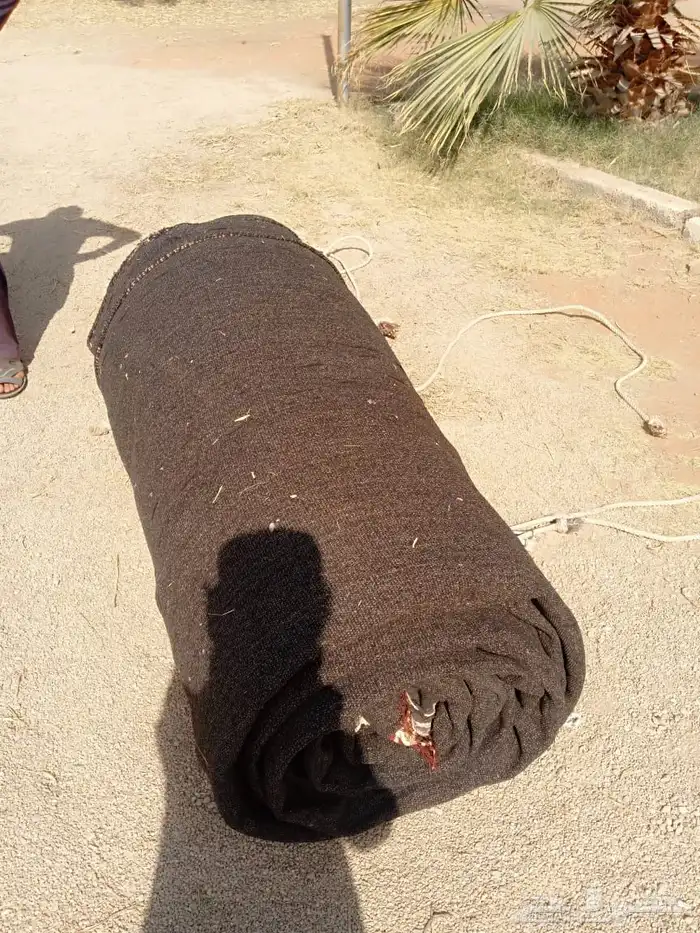 بيت شعر ثلاثه اعمده اطول 12 4 بحاله ممتازه اخو الجديد 12