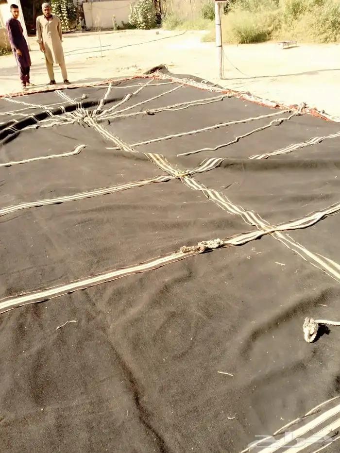 بيت شعر ثلاثه اعمده اطول 12 4 بحاله ممتازه اخو الجديد 5