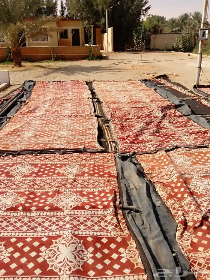 بيت شعر ثلاثه اعمده اطول 12 4 بحاله ممتازه اخو الجديد 8