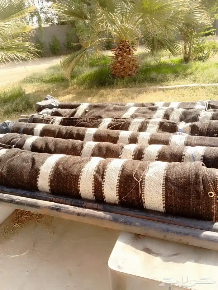 بيت شعر ثلاثه اعمده اطول 12 4 بحاله ممتازه اخو الجديد 11