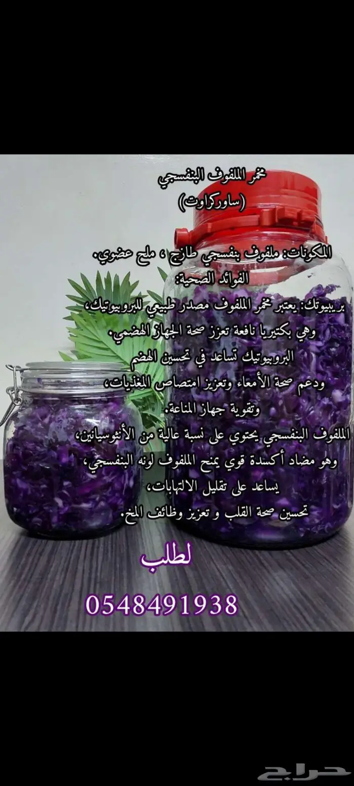 مخمر ملفوف احمر 0