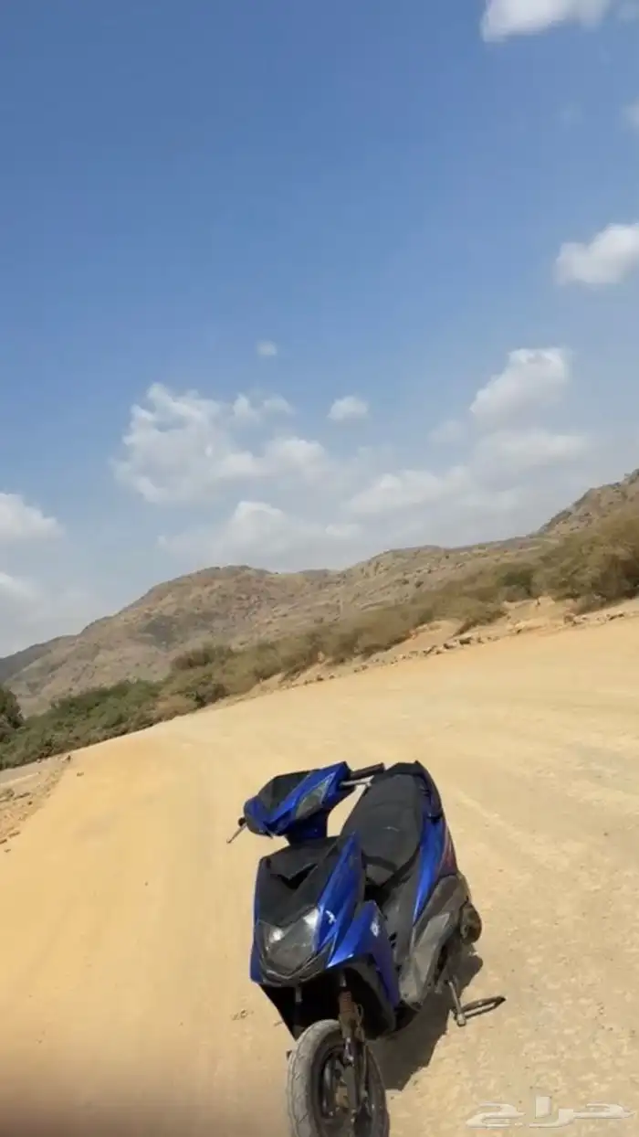 دباب بطه العجيب للبيع 5