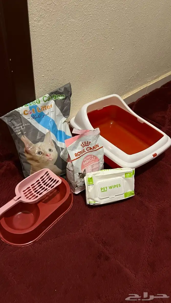 مستلزمات القطط 0