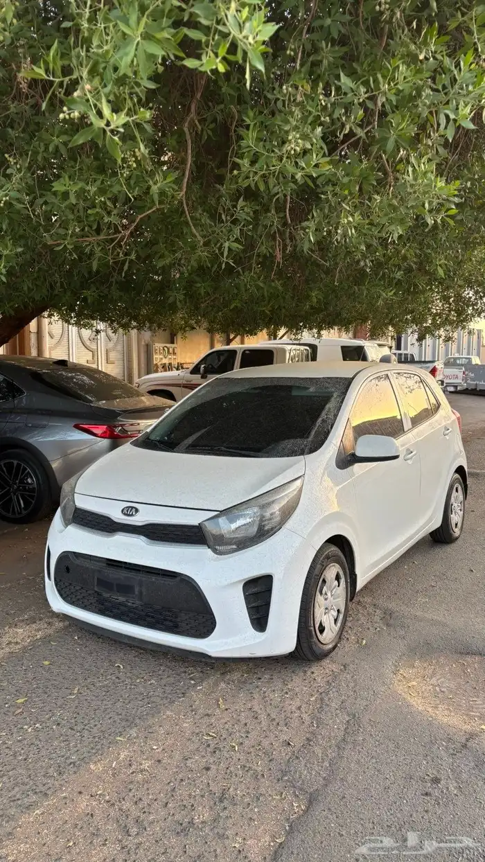 كيا بيكاتو 3