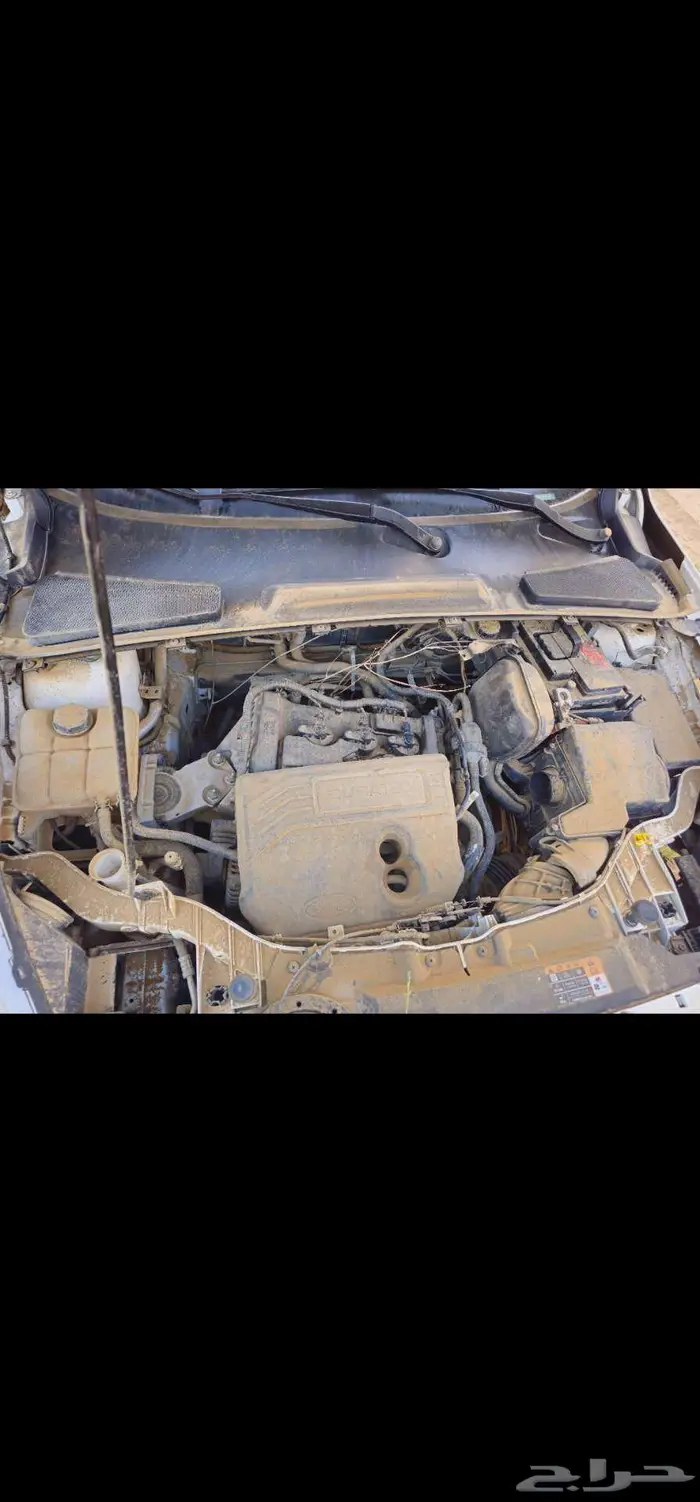 فورد اسكورت 2020 3