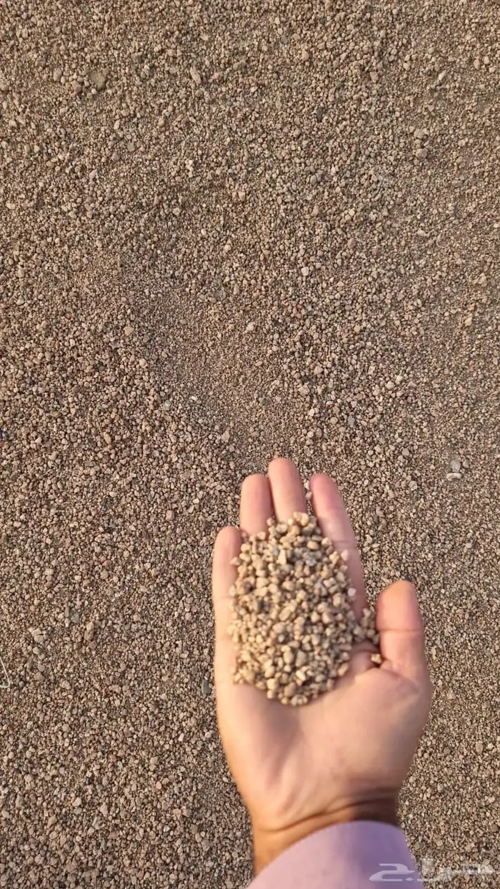 بنا يوجد لدينا اجود أنواع البطحا 15