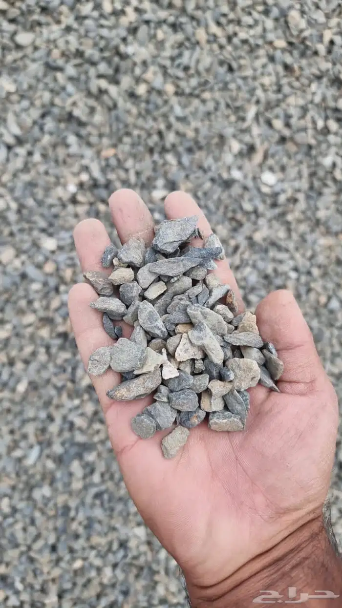 بنا يوجد لدينا اجود أنواع البطحا 6