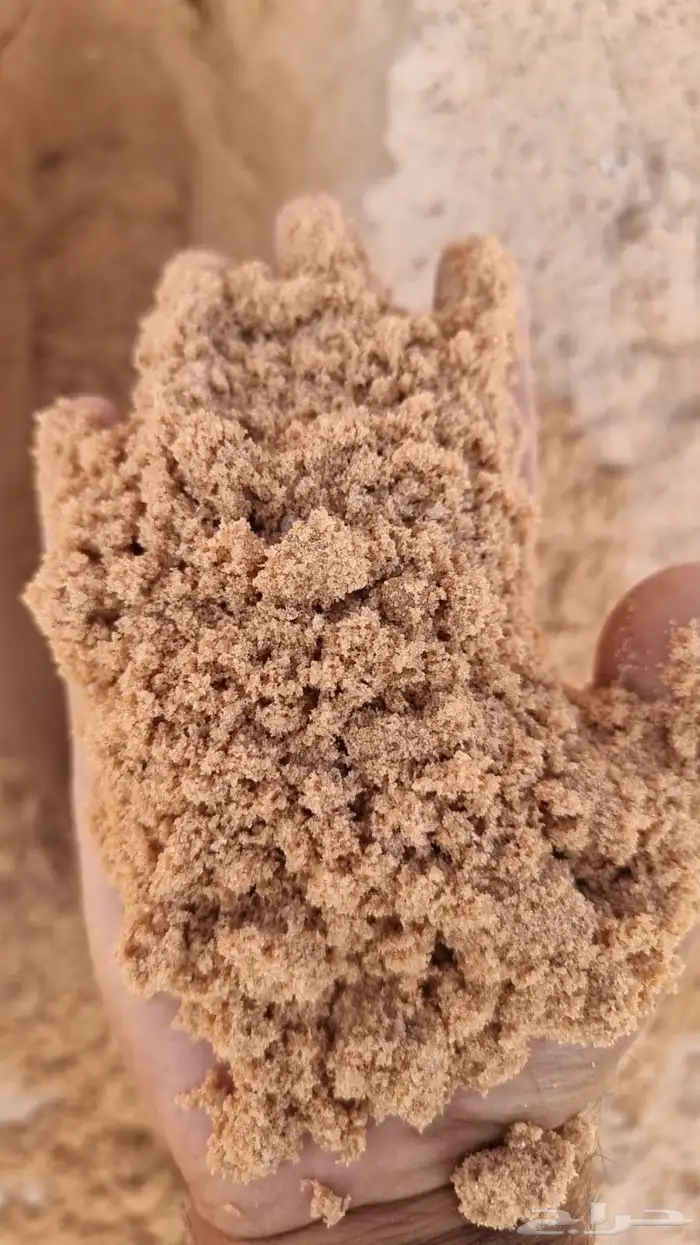 بنا يوجد لدينا اجود أنواع البطحا 14