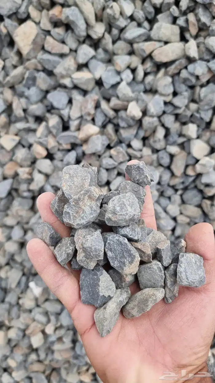 بنا يوجد لدينا اجود أنواع البطحا 11