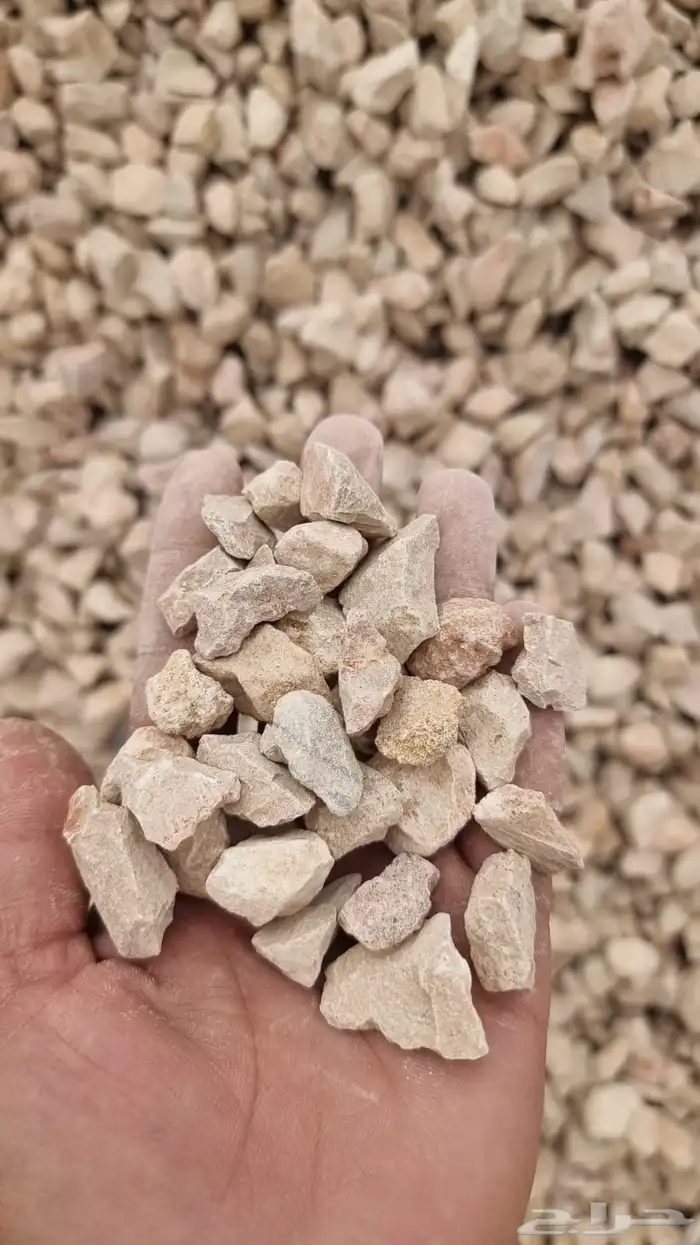 بنا يوجد لدينا اجود أنواع البطحا 10