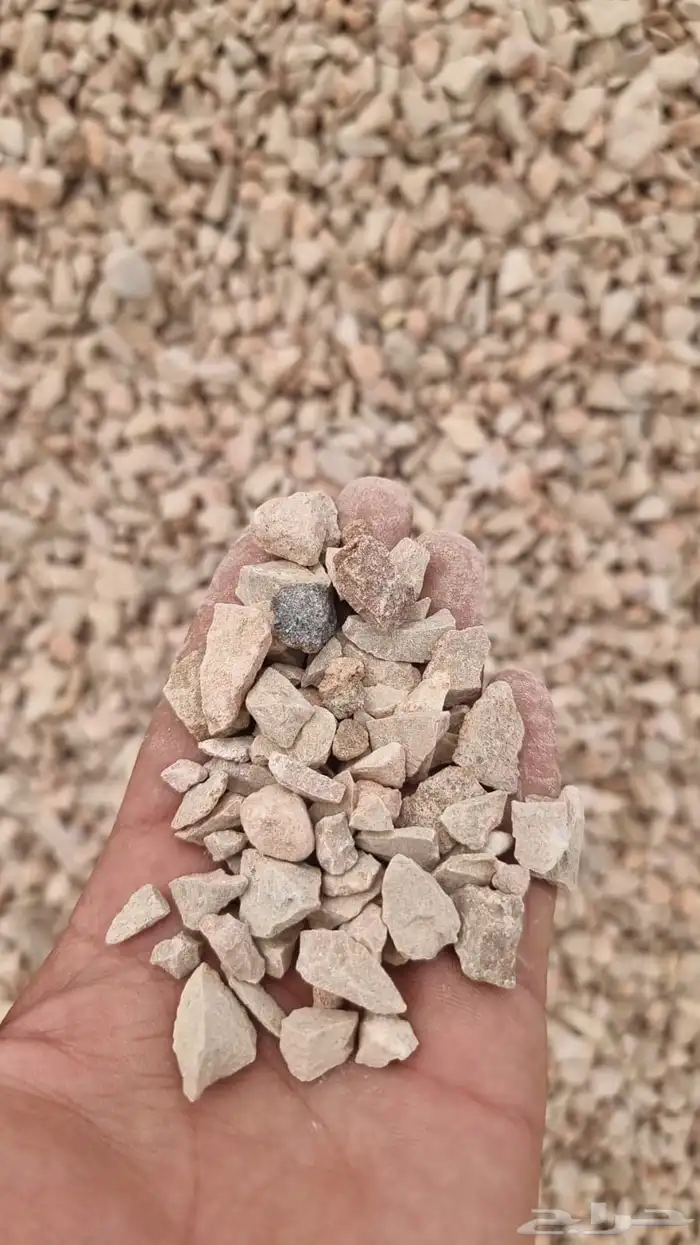 بنا يوجد لدينا اجود أنواع البطحا 9