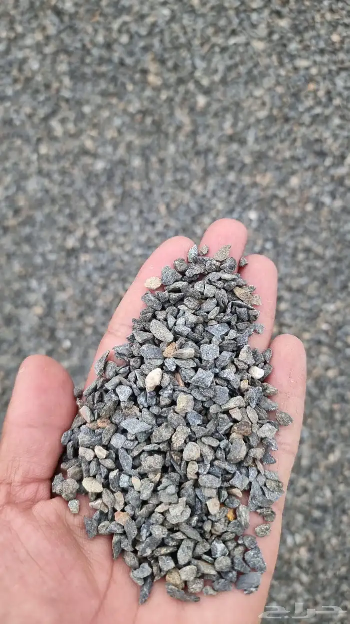 بنا يوجد لدينا اجود أنواع البطحا 4