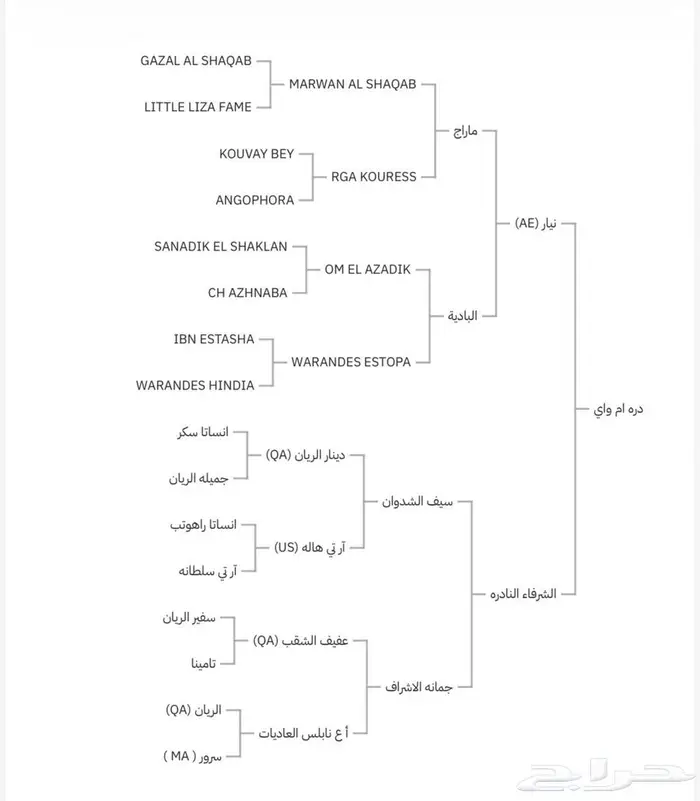 مهره واهو شيخه 5