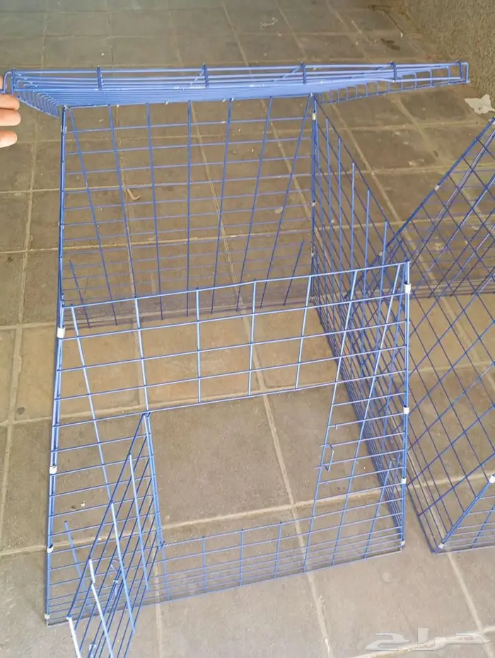 قفص الدجاج 0