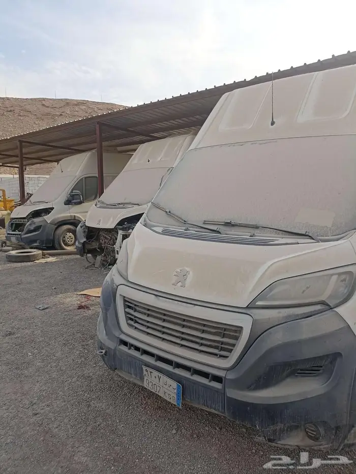 بيجو بوكسر موديل 2021 0