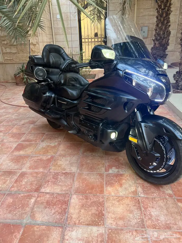 قولد وينق 2003 نظيف 0