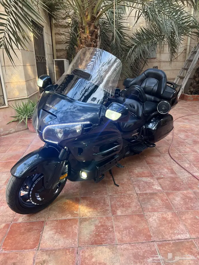 قولد وينق 2003 نظيف 4