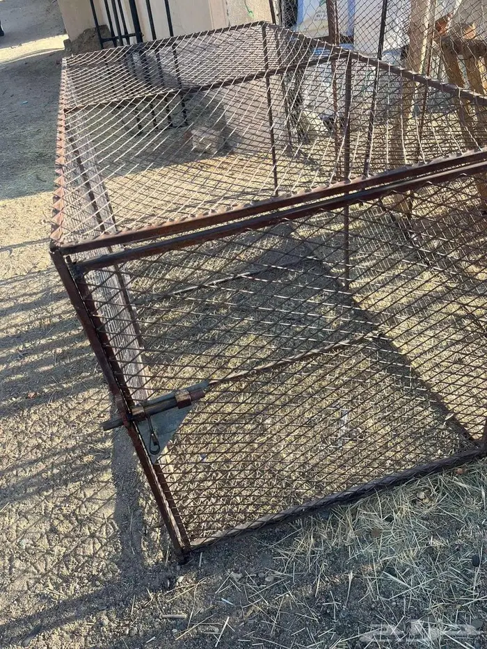 شبك للبيع 2 في 1 1