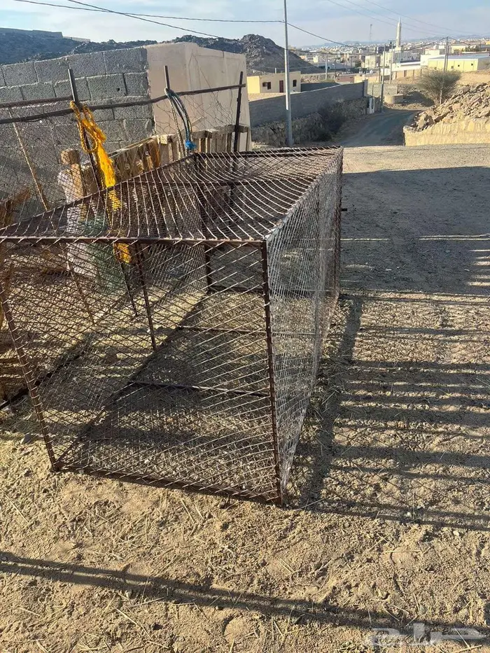 شبك للبيع 2 في 1 0