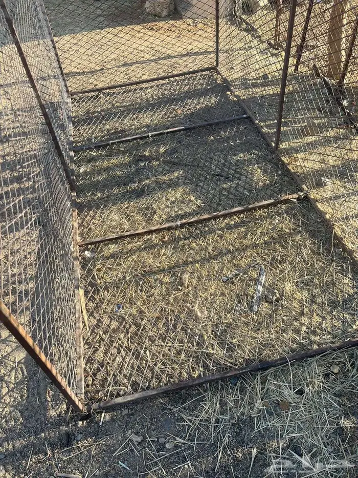 شبك للبيع 2 في 1 2