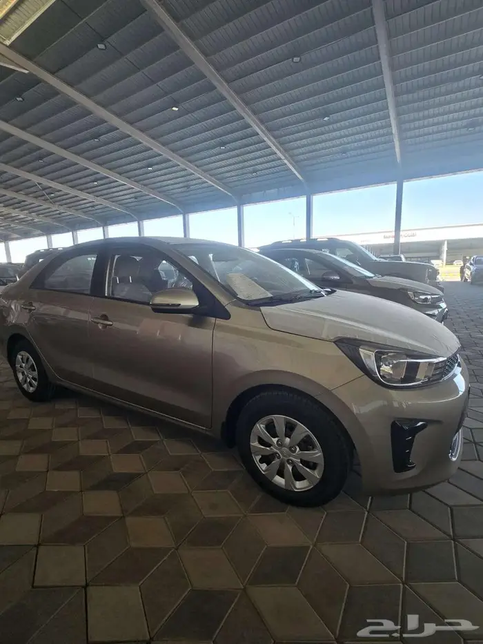 بيجاس استاندر 2026 gl 1