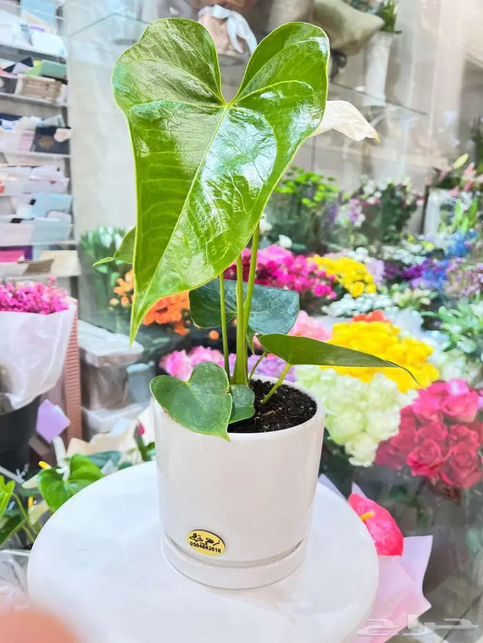 هدايا ورد اكرليك في القصيم 19