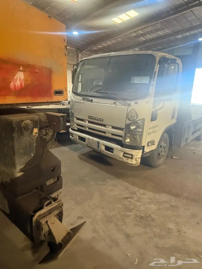 دينا ايسوزو 2011 1